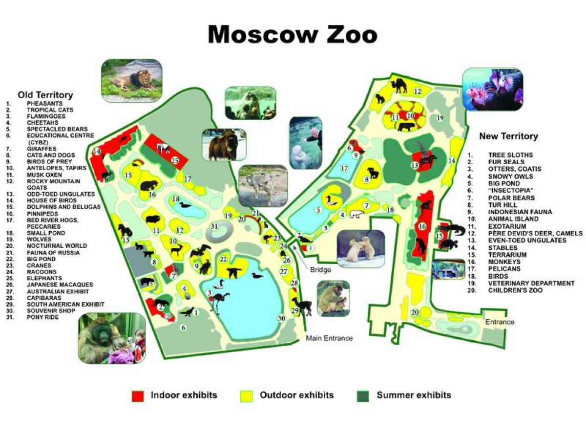peta kebun binatang Moskow